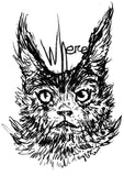 WHERE