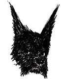 Earkie